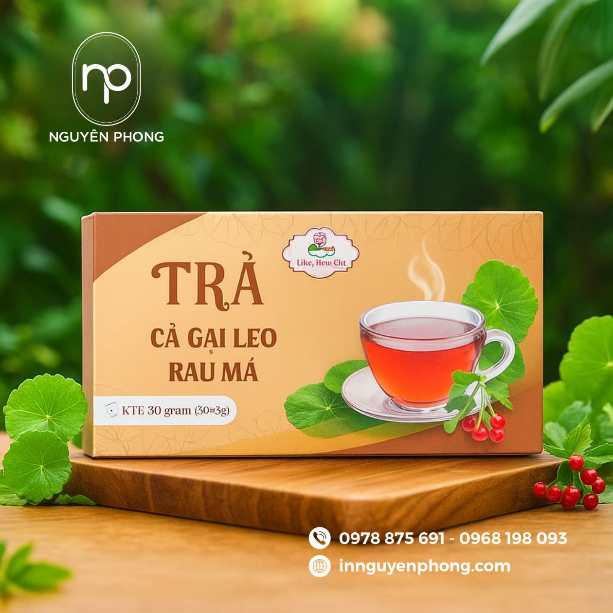 In hộp cà gai leo chuyên nghiệp, nâng tầm thương hiệu
